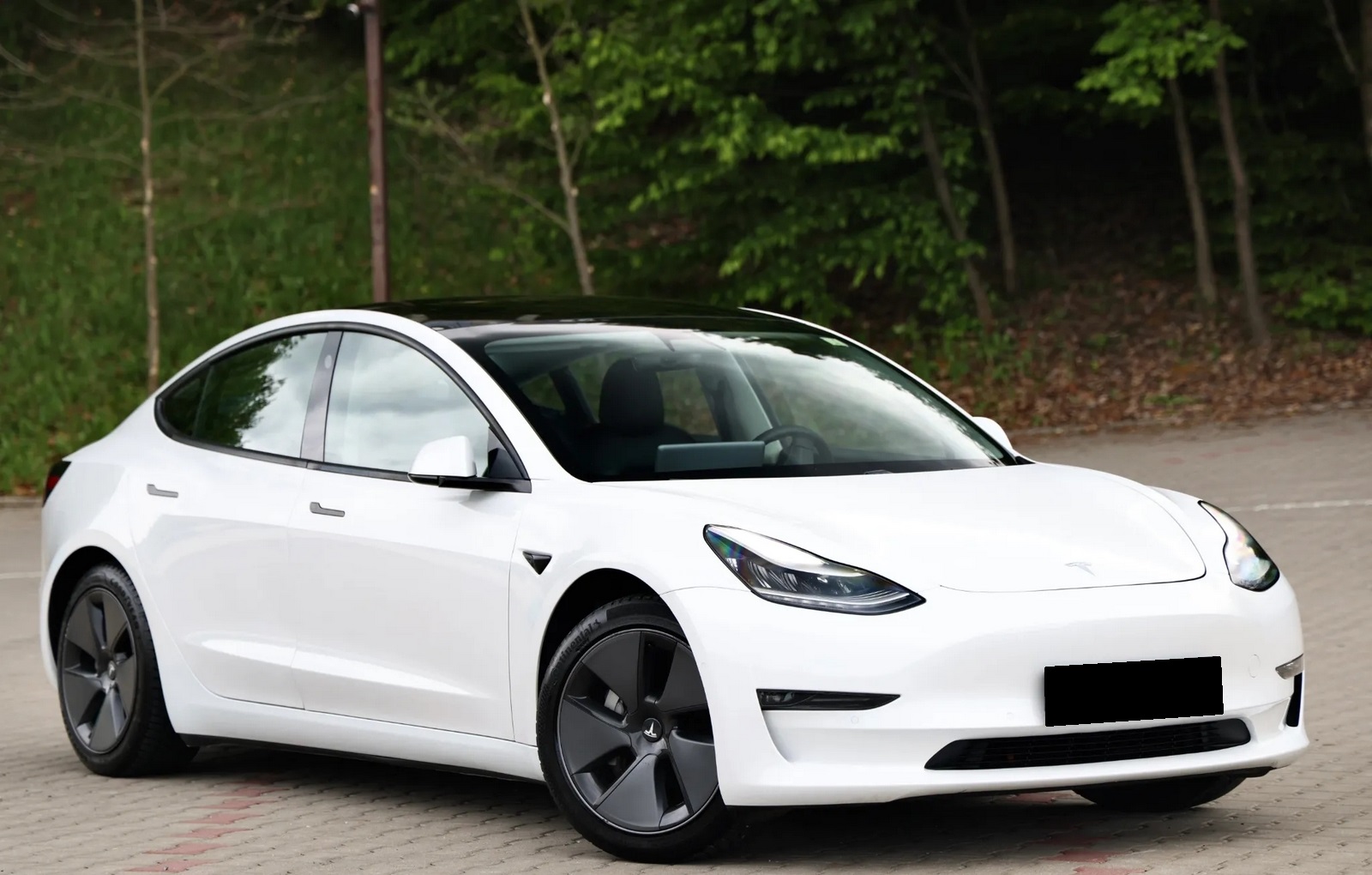 2021 Tesla Model 3 Performance Dual AWD